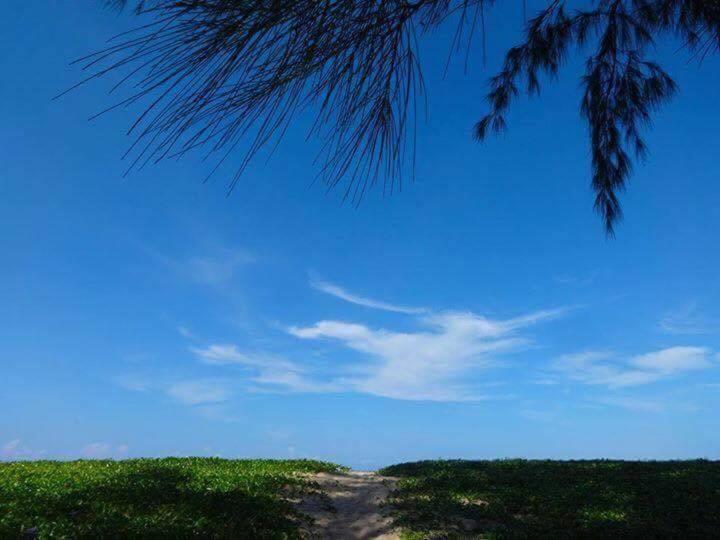 珊瑚海滩度假村及咖啡馆【SHA Extra Plus】 Natai 海滩 外观 照片